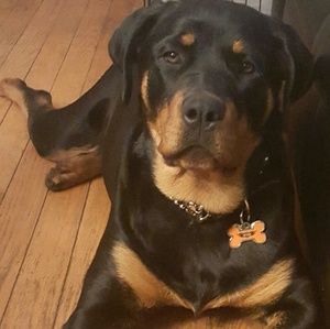 Meet your Posher, Nancy